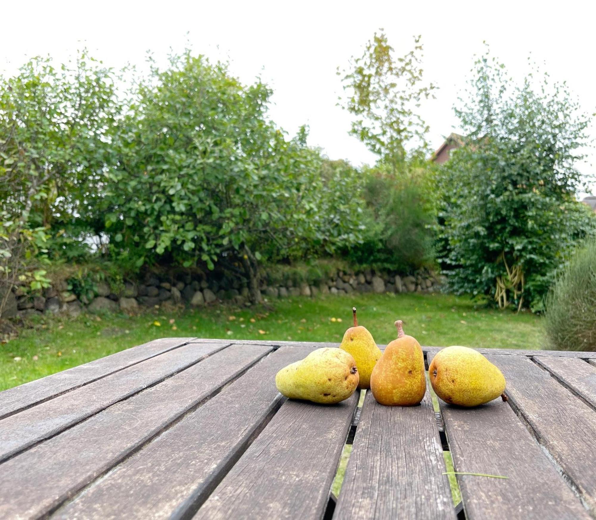 Haus Malte Weninngstedt App 1 Wenningstedt-Braderup Dış mekan fotoğraf